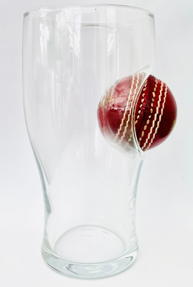 Cricket Gift for Men | 20oz Pint Glass Unique Baseball Birthday Gift