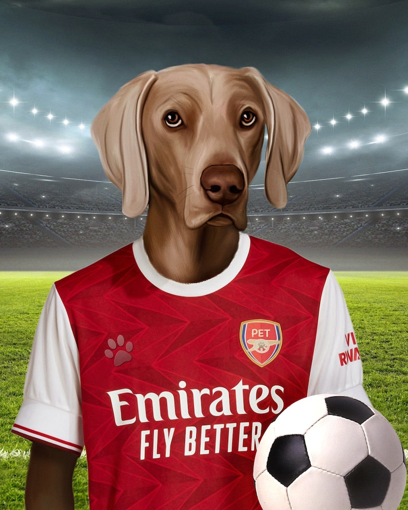 Soccer Dog, Custom Pet Portrait, Football Lover Gift, English Soccer